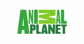 Animal Planet онлайн